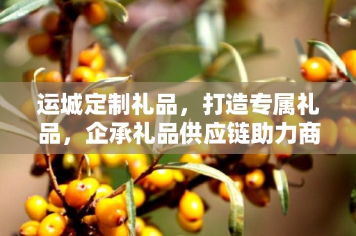 运城定制礼品，打造专属礼品，企承礼品供应链助力商务往来