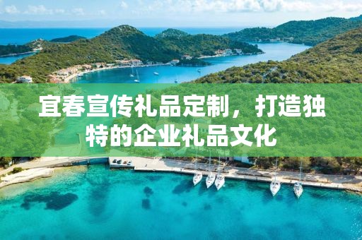 宜春宣传礼品定制，打造独特的企业礼品文化